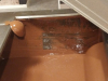 20190522_141659-576x1024