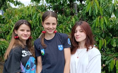 Obiska nasada češenj v Pirešici