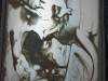 imag1642