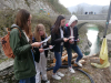 IMG-d392ed7b25d1a4f7bfce29181f24234f-V