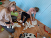 resized_20191017_121917